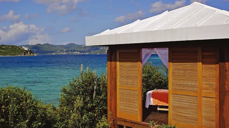 The Ritz-Carlton, St. Thomas photo