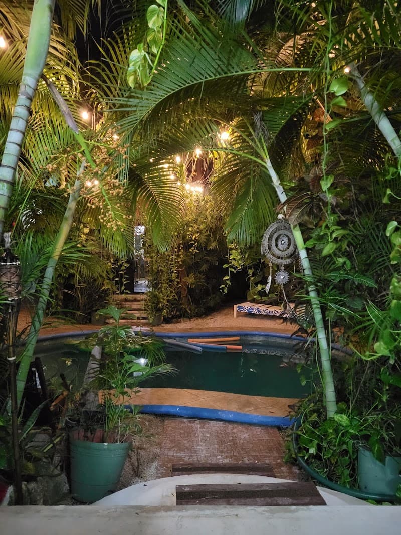 The Selva House Spa Tulum photo