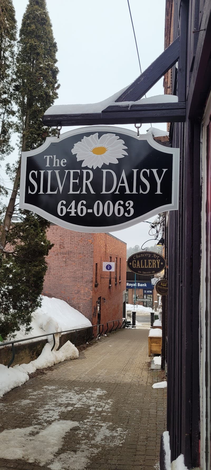 The Silver Dog Bracebridge photo