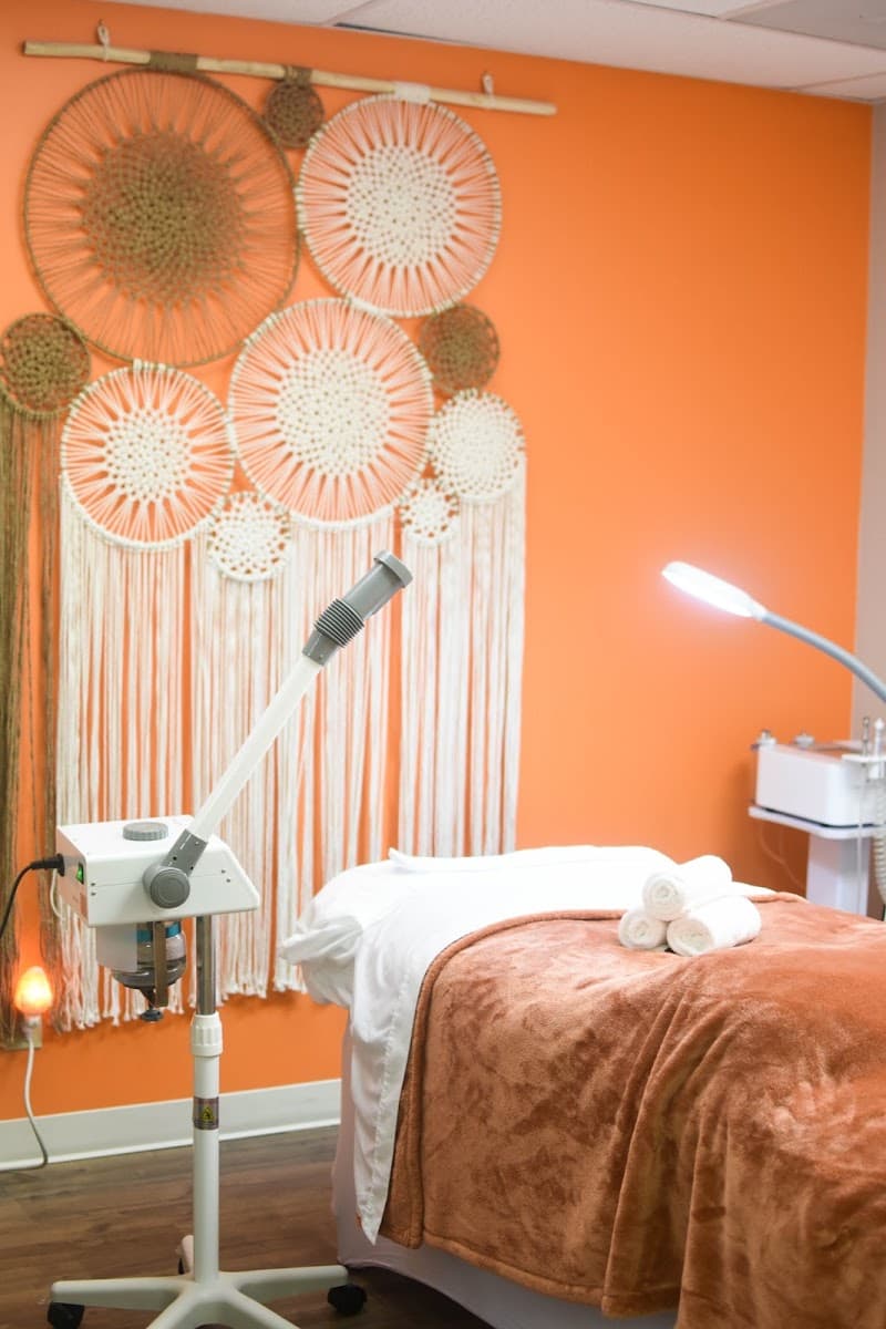 The Skin Design Studio Arlington photo