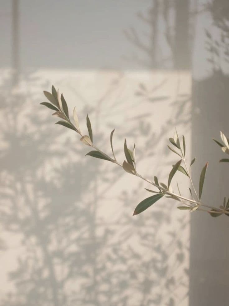 The Skin Enthusiast Fort Lauderdale photo