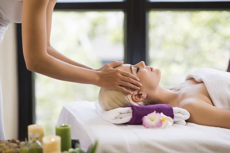 The Spa at Artemis Batavia photo