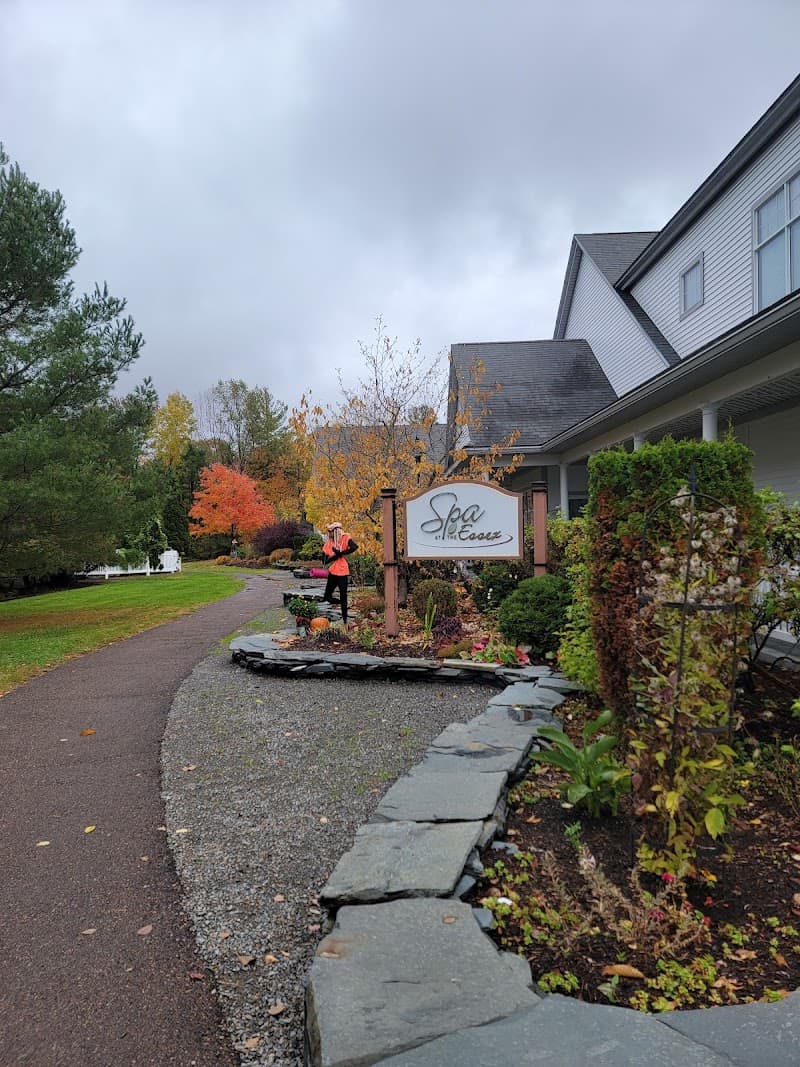 The Spa Room - Susane Ellen Johnson, Licensed Esthetician Essex Junction photo