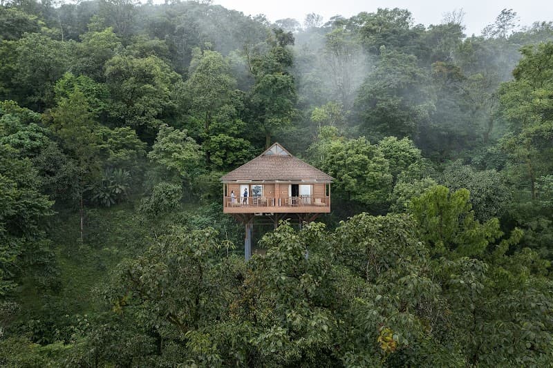 The Tamara Coorg photo