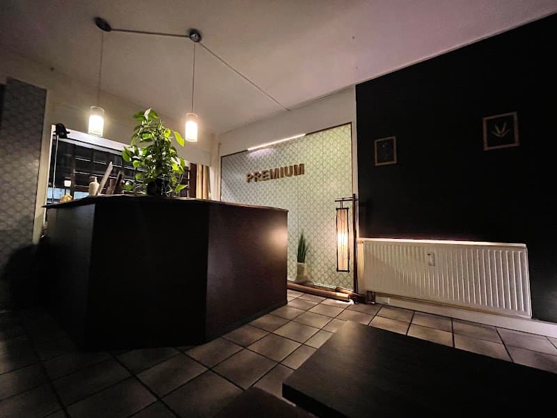 Köln the tree - Massage Lounge photo