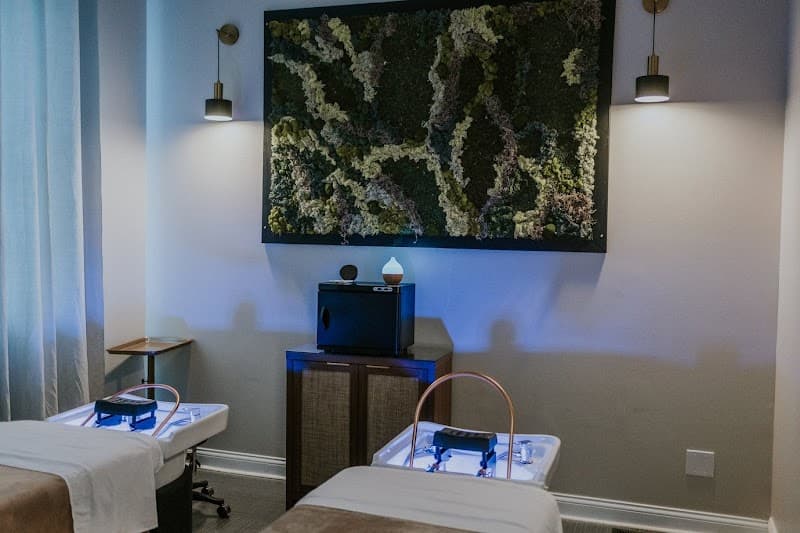 The Vine and Branch Wellness Spa Goodrich photo