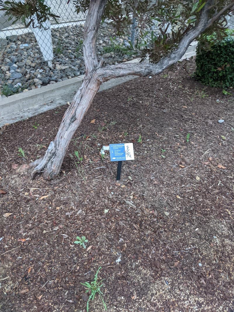 The Watergarden San Jose photo