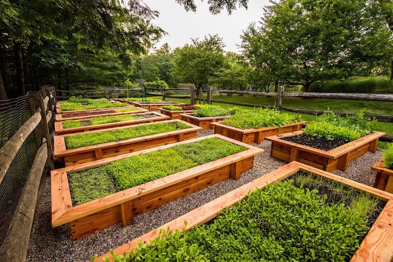 THE WELL at Mayflower Inn Woodbury photo
