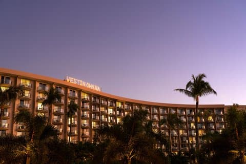 The Westin Maui Resort & Spa, Ka'anapali photo