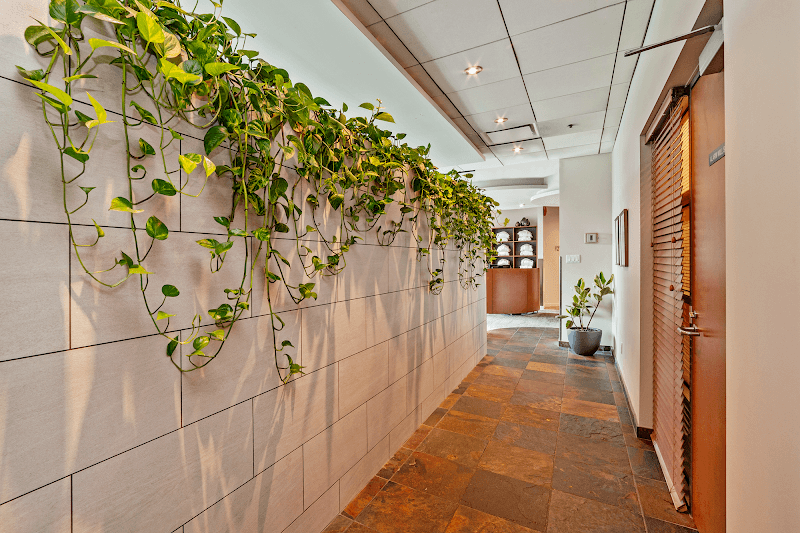 The Wild Orange spa Abbotsford photo