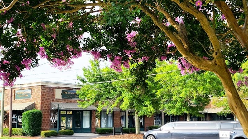 The Winchester Spa and Salon Summerville photo