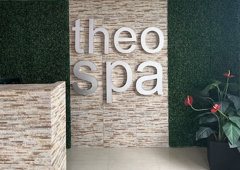 THEO SPA Tampico photo
