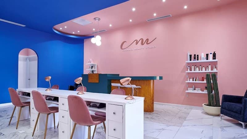 Theo Vital CUU Chihuahua photo