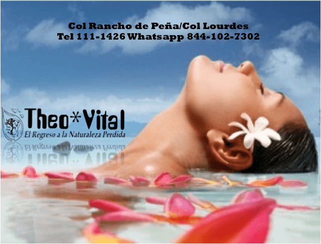 Theo Vital Zona Galerias Lienzo Charro Saltillo photo