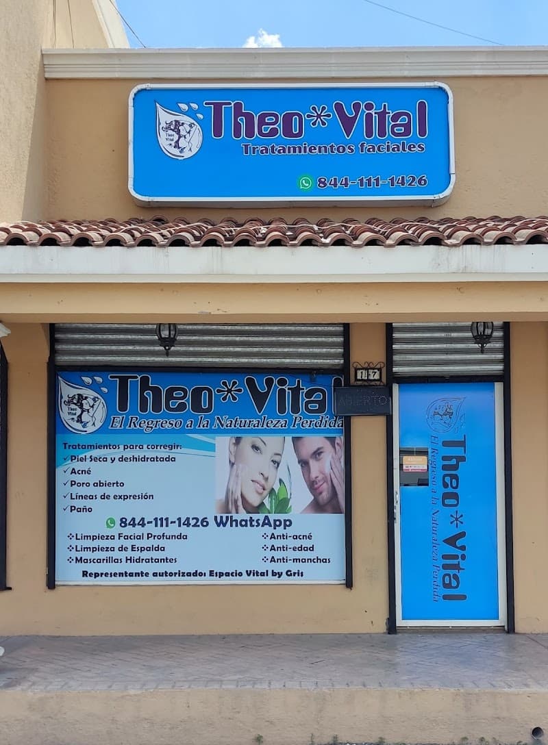 Theo Vital Zona Plaza Patio Saltillo photo