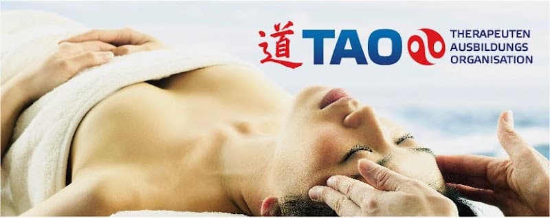 Therapeuten Ausbildungs Organisation für AMM & TCM Eching photo