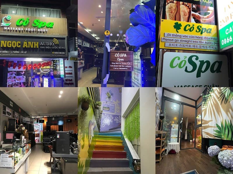 ThỎ Spa ĐÀ LẠT Đà Lạt photo