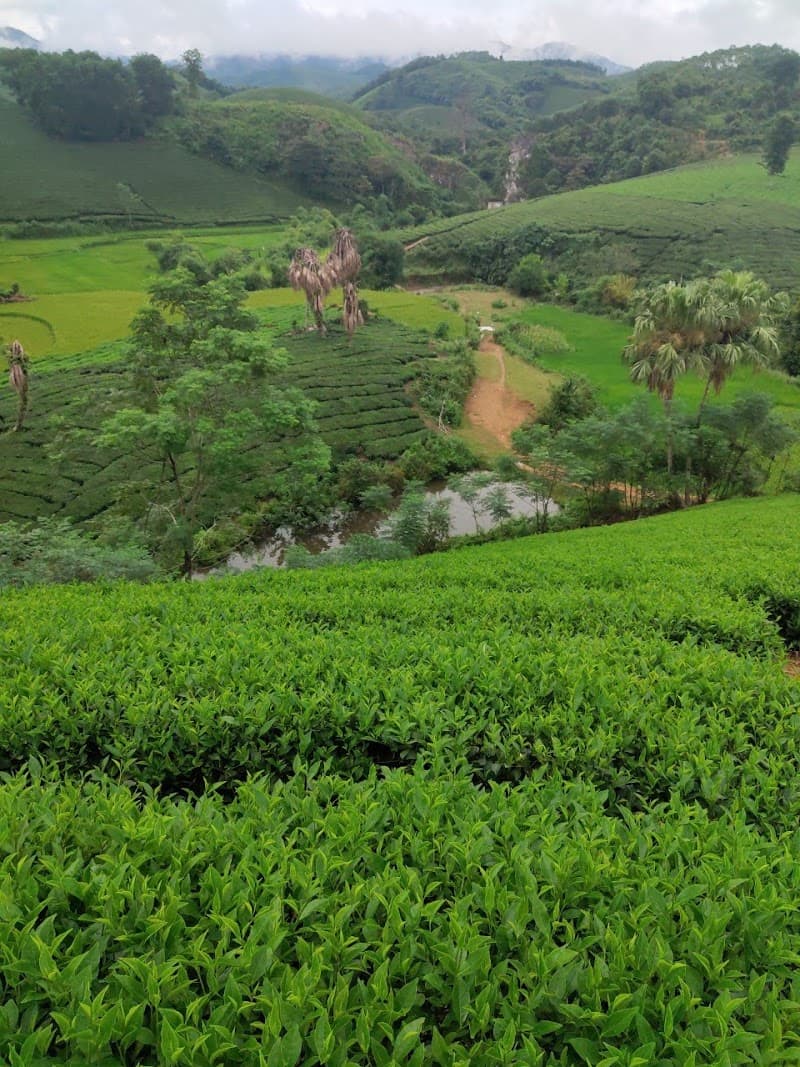 Thu Cúc Clinics Phú Thọ photo