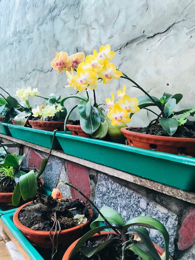 Thủy Spa 42 đg 16 Phù Lỗ Huyện Sóc Sơn photo