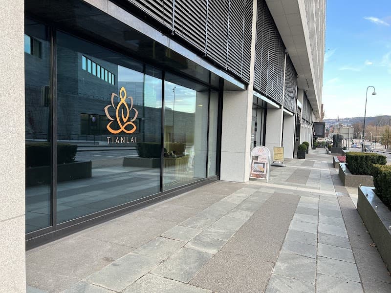 Tianlai terapisenter Massasje Oslo photo