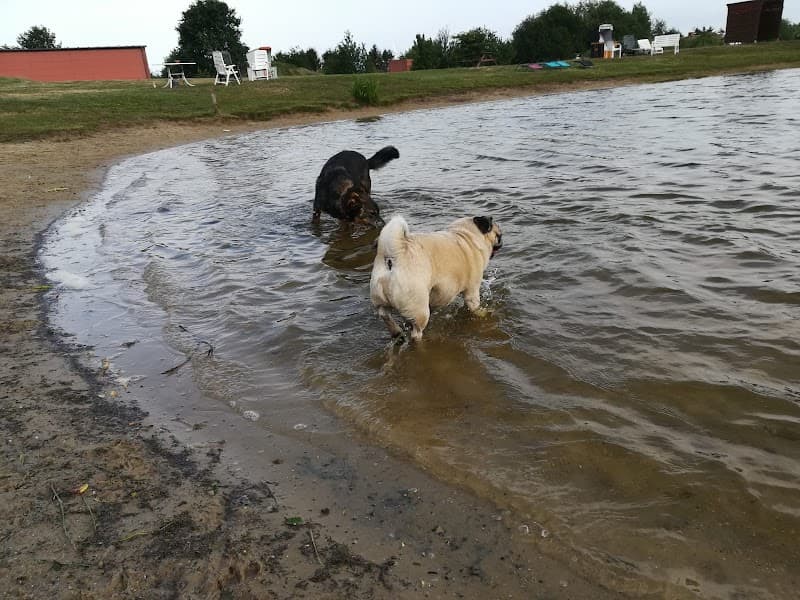 Tierparadies Ute Mahlstedt Ganderkesee photo