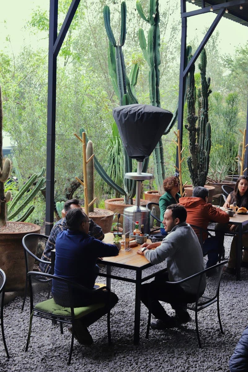 Tierra Calmica: experiencias para volver al ritmo natural de la Tierra Querétaro photo