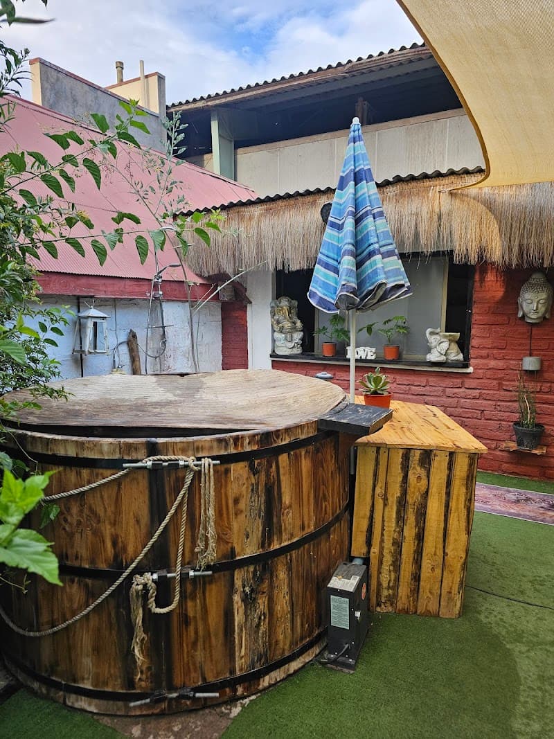 Tina la Araucaria - San Felipe photo