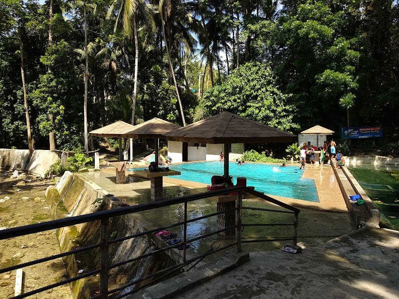 Tinugdan Spring in Lila photo