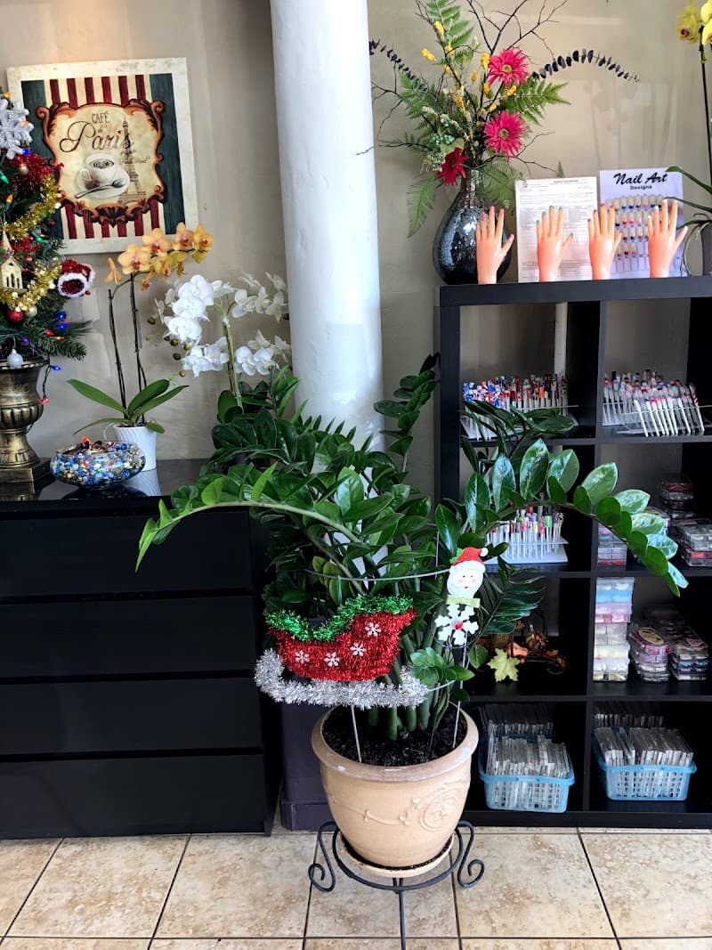 Tips N Toe Nails Spa Queen Creek photo