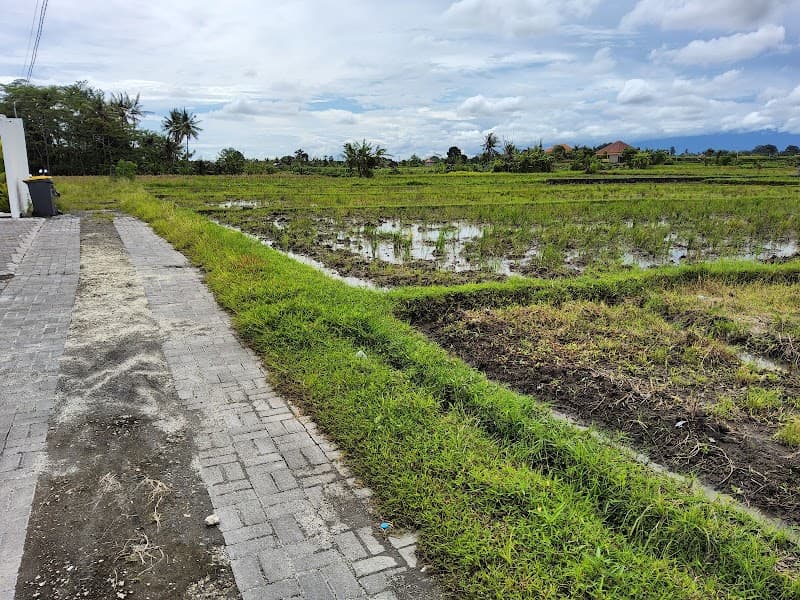 Titip Jual Gianyar photo