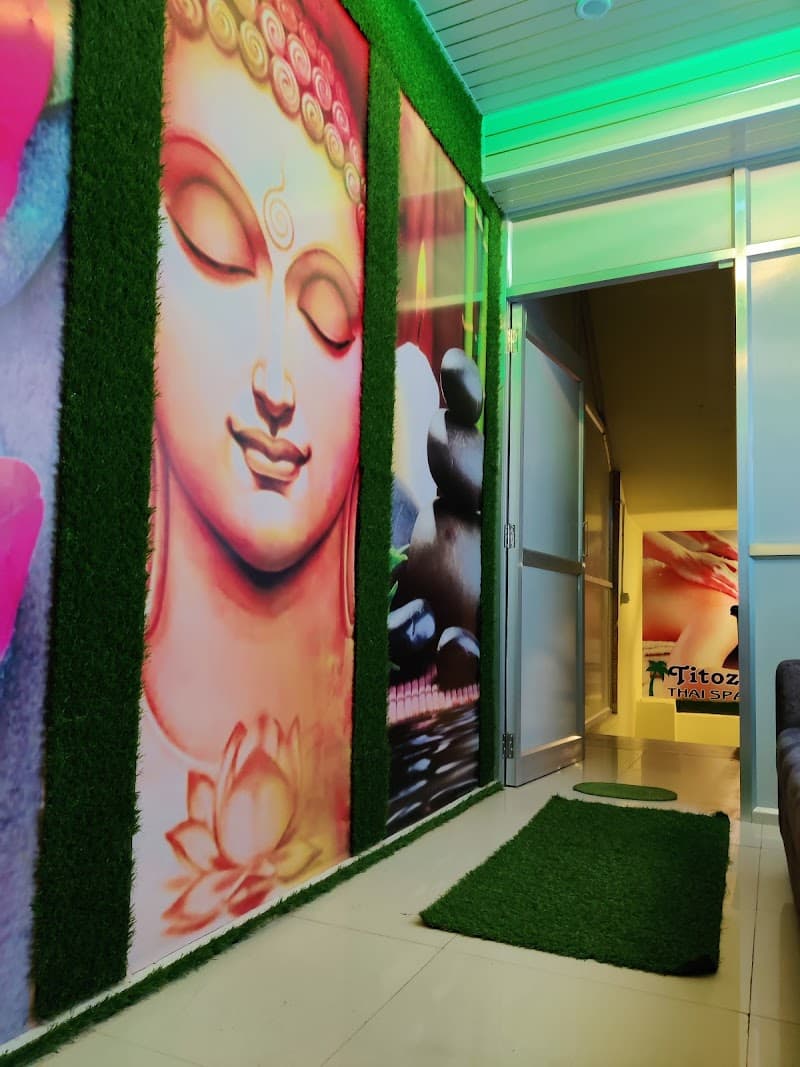 Titoz Spa Udaipur photo