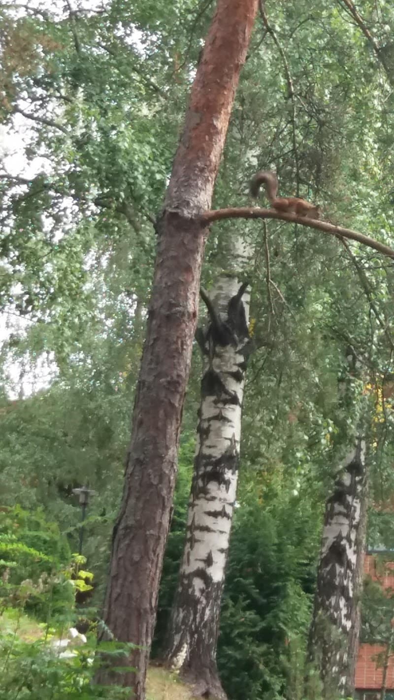 Tmi. Miia Soitso Helsinki photo