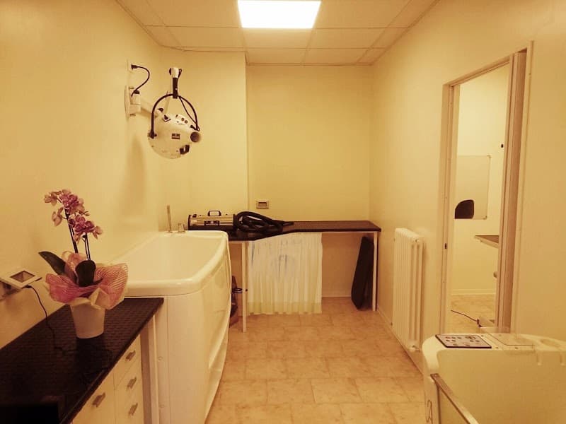 Toelettatura & Spa Scodinzolook Roana photo