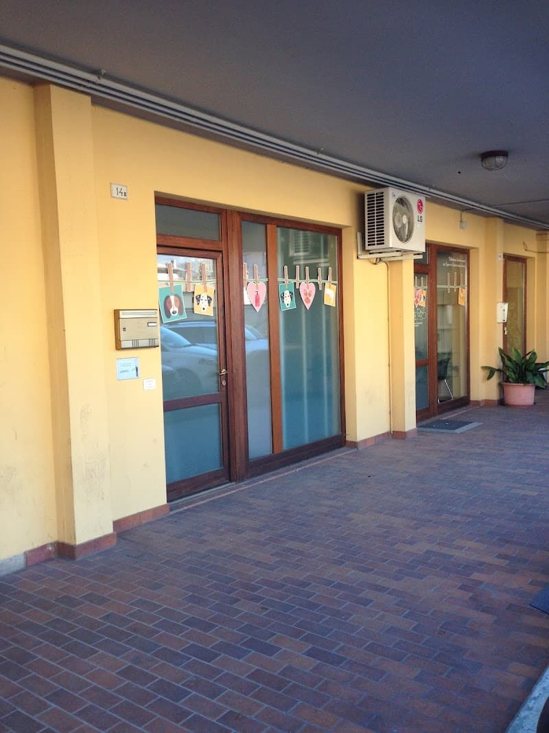 Toelettatura Tosatura & Spa di Massimo Ceto photo