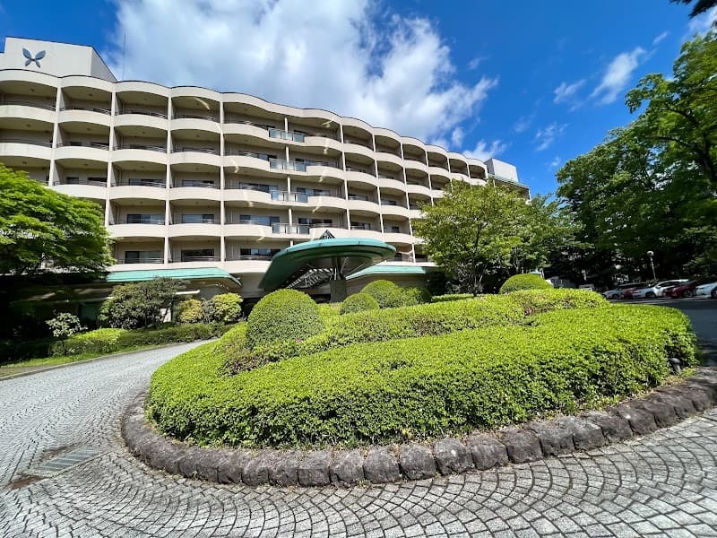 Tokyu Harvest Club Kinugawa Nikko photo