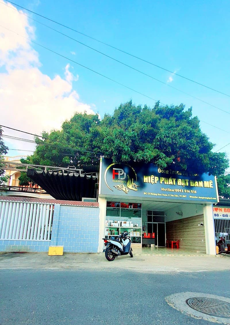 Tổng Đại Lý Hector Đông Trùng Hạ Thảo BMT Buôn Ma Thuột photo