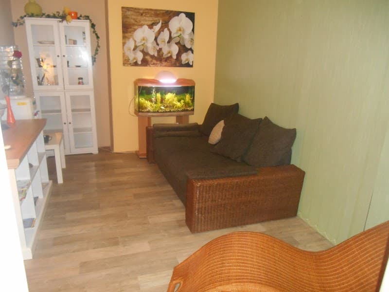 Toplenka masáže Hradec Králové photo