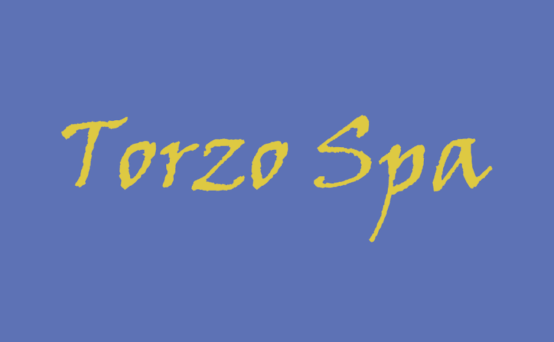 Torzo Spa Davis photo