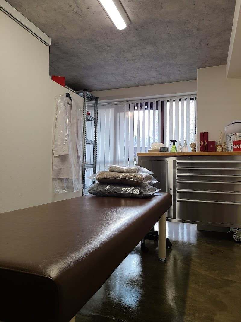 Total Seitai (Chiropractic) Hiroshima City Naka Ward photo