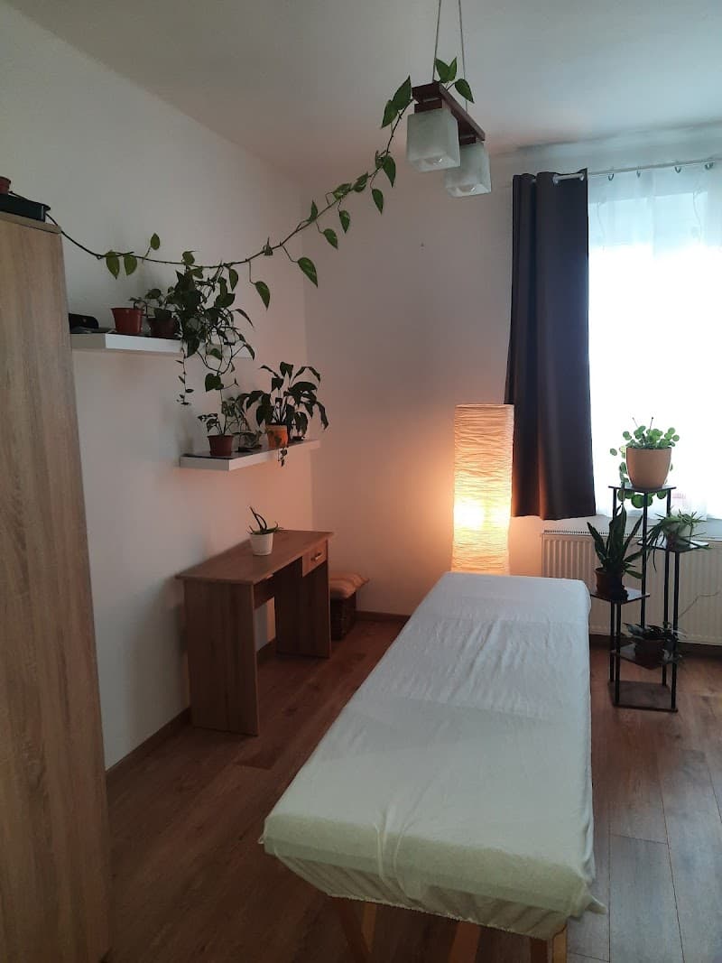 Tóth Dóra masszázs Győr photo