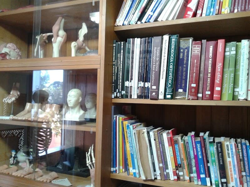 Touch Tuina Massagem Terapêutica Curitiba photo