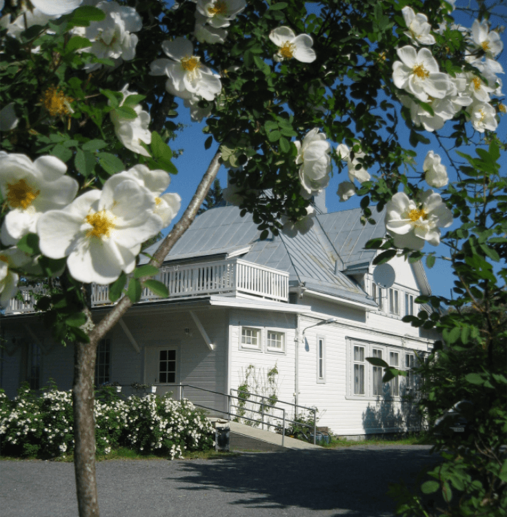 Toves Massage Lemland photo