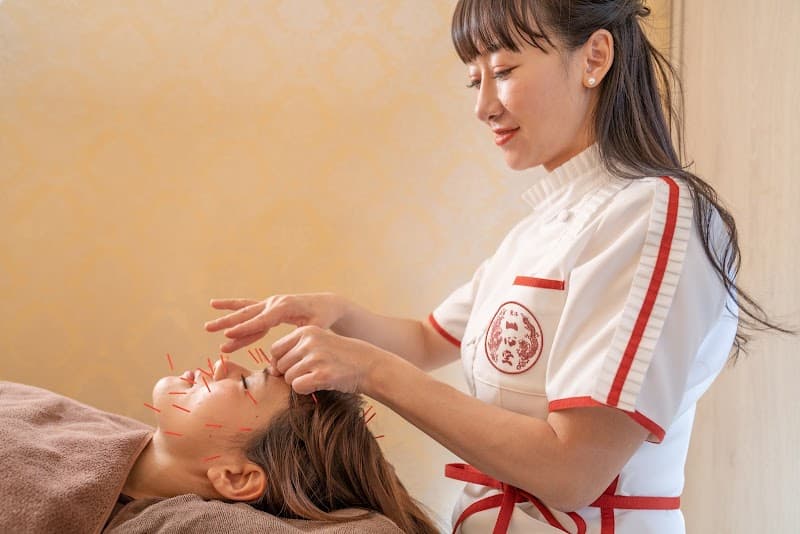 Toyo Acupuncture Research Institute Isshindo & Ayurveda Home Youbin Kita Ward, Osaka photo