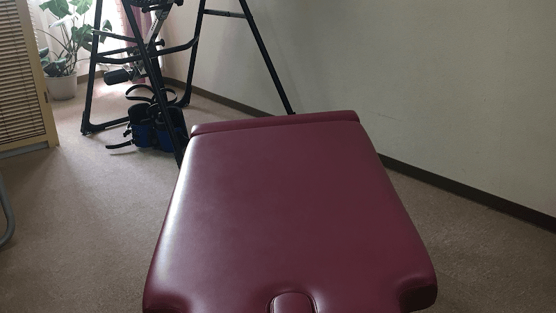 Toyo Seitai Kenkyujo Akihabara Osteopathic Clinic Chiyoda City photo