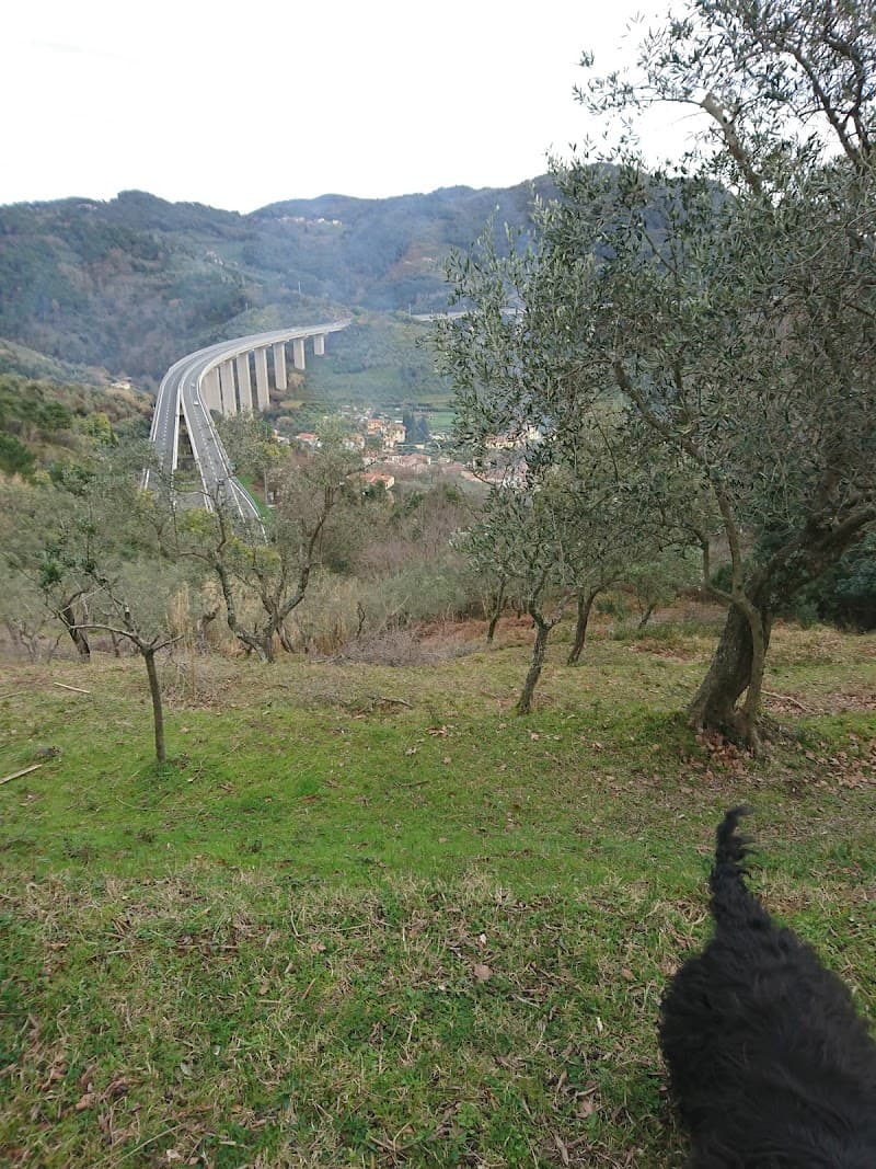 Tra cielo e terra Pistoia photo