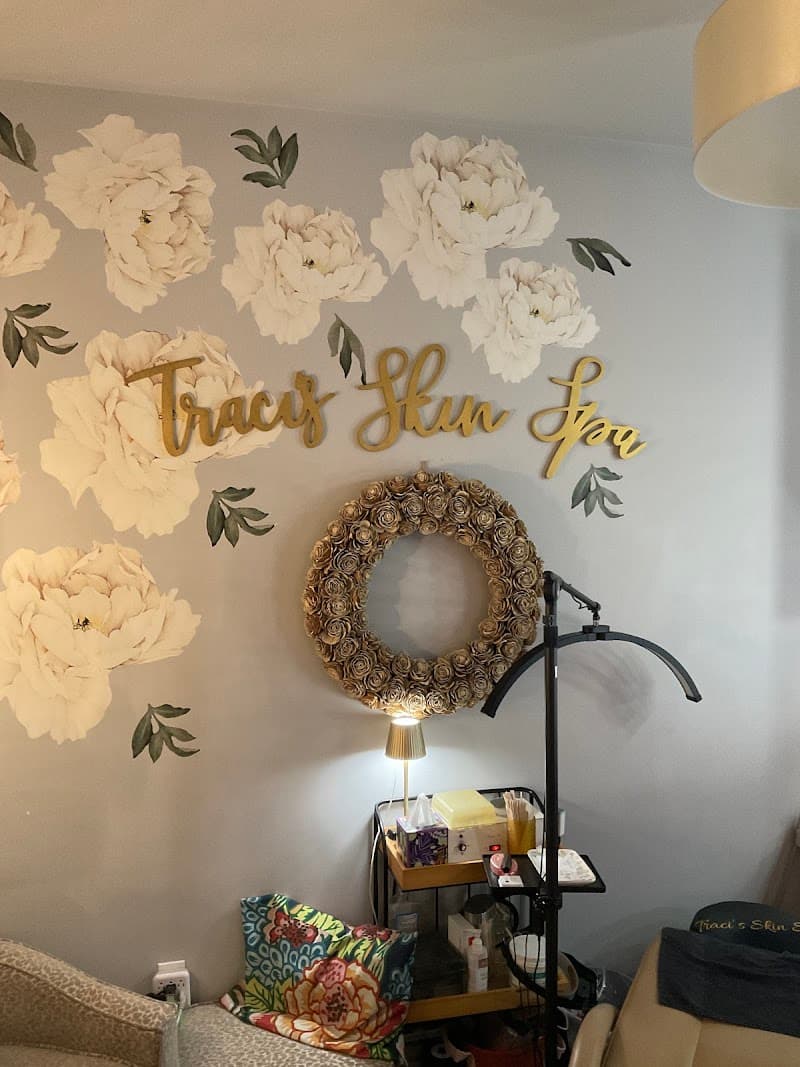 Traci's Skin Spa Des Peres photo