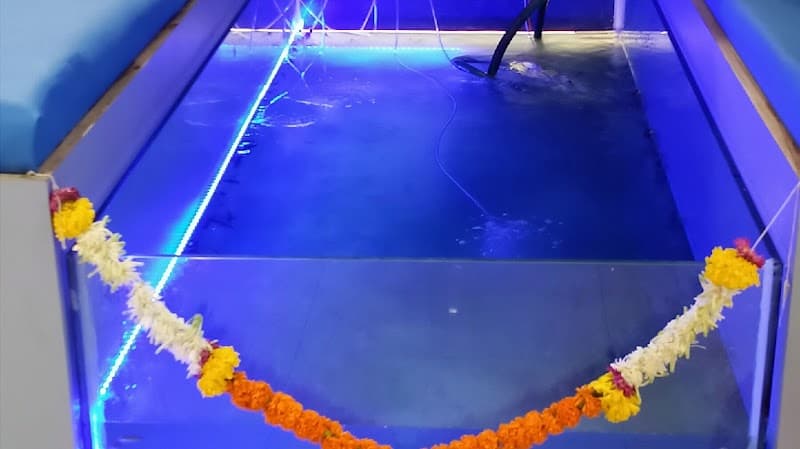 Tranquille FISH SPA Pune photo