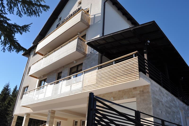 Transylvania Villa&SPA photo