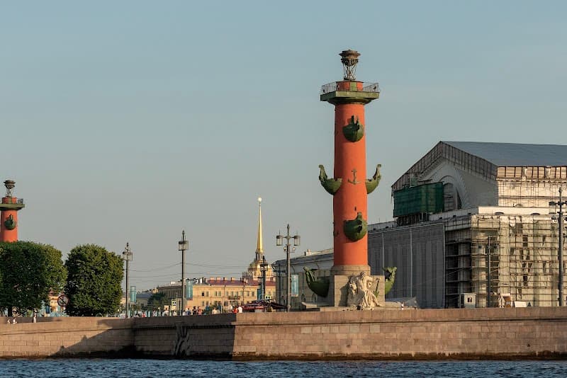 Tree of Life Vasileostrovsky Rayon photo