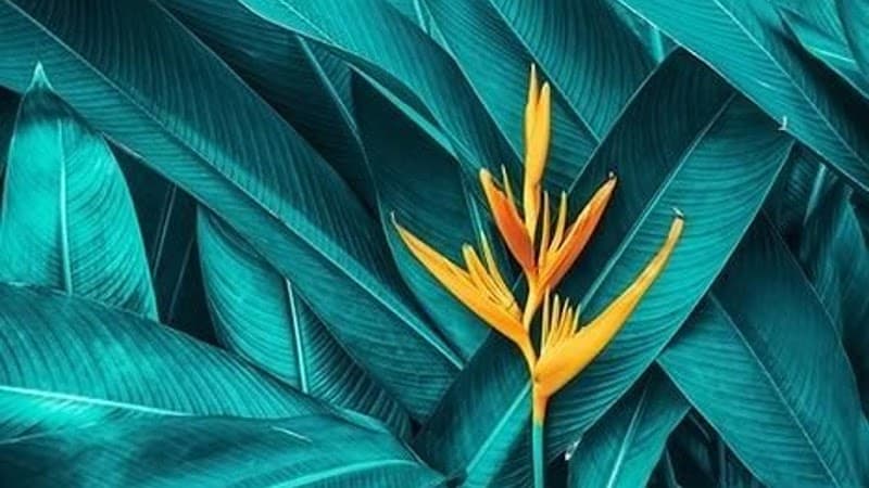 Trèsbienêtre.TBE Lagny-sur-Marne photo